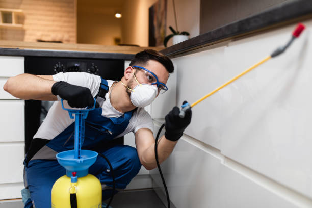 Best Flea Control Services  in Jasonville, IN