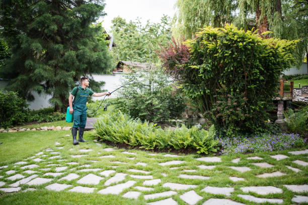 Best Mosquito Control Services  in Jasonville, IN