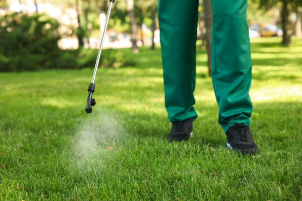 Pest Control Cost in Jasonville, IN