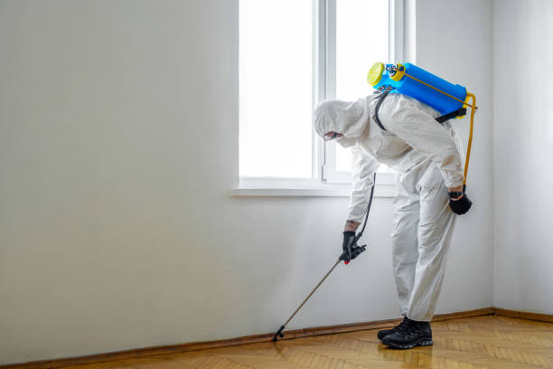 Best Pest Removal Services  in Jasonville, IN