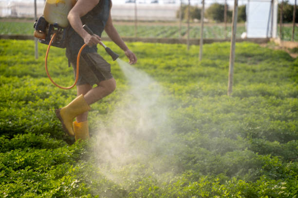Best Pest Prevention Services  in Jasonville, IN