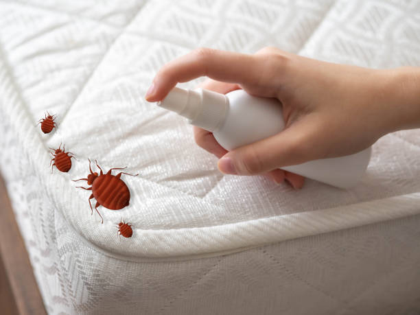 Best Residential Pest Control  in Jasonville, IN