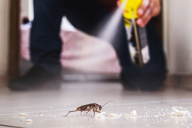 Best Cockroach Control Services  in Jasonville, IN