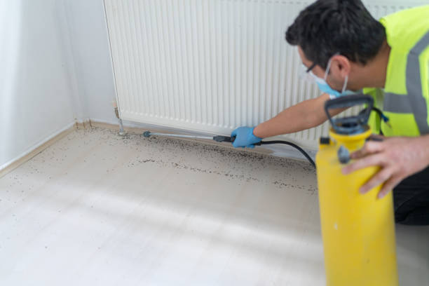 Pest Control for Restaurants in Jasonville, IN