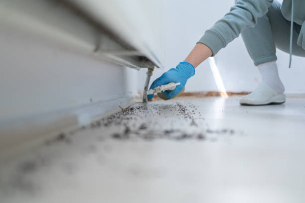 Reliable Jasonville, IN Pest Control Solutions